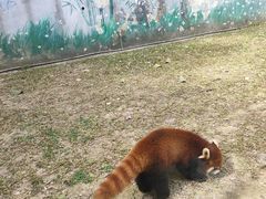 -东部华侨城