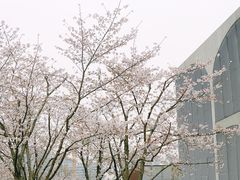 -龙美术馆(西岸馆)
