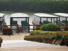 -大湾区中央湿地公园