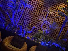 -泰适SPA馆丨精油·按摩·足道(购物公园店)