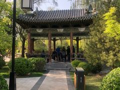 -迎泽公园