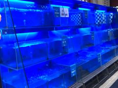 -眉州东坡(亚运村店)
