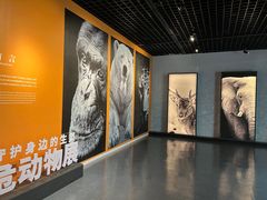 -中国湿地博物馆