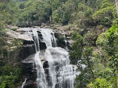 -海南热带雨林国家公园吊罗山景区