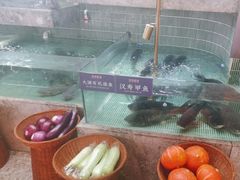 -鱼你相聚·河鲜馆(袁家岭店)
