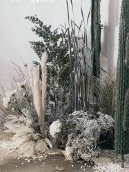 -诺丁山婚礼企划