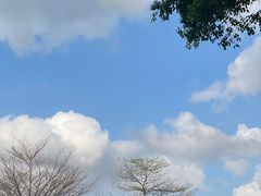-松山湖风景区松湖烟雨