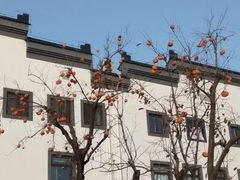 -蟹岛开饭楼