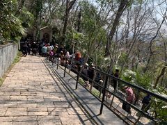 -上海佘山国家森林公园西佘山园