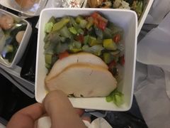 -新加坡航空公司(ION)