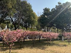 -南京信息职业技术学院