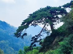 -泰山风景名胜区