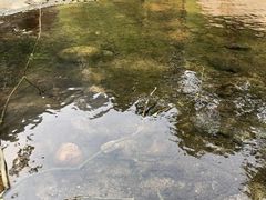 -碓臼峪自然风景区