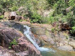 -广州白江湖森林公园