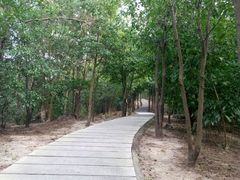 -石溪公园