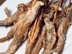 -沪依小酒馆心意菜