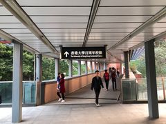 -香港大学