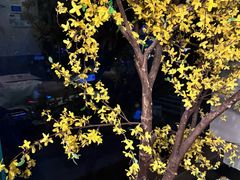 -上足·影院足道·SPA(红岭店)