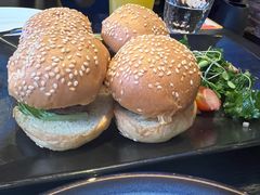 -bluefrog蓝蛙(水游城店)