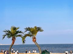 -巧克力渔家.小船海鲜家常菜(万平口店)