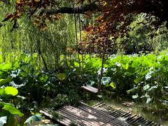 -洛阳市隋唐城遗址植物园