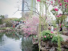 -无锡蠡湖国家湿地公园-蠡园