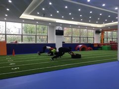 -能量学院少儿体能运动馆(公园1872店)