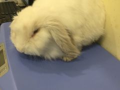 -美迦爱-牙专科·兔科·骨科诊疗中心(北苑店)