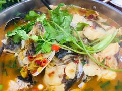-全乐鱼馆·淳牌有机鱼直营店