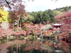 -醍醐寺