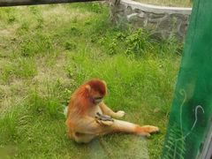 -西安秦岭野生动物园