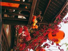 -老阿爸鲜鱼土菜(昆山花桥店)