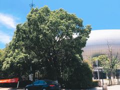 -奥林匹克体育中心游泳跳水中心