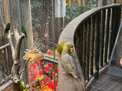 -正佳雨林生态植物园