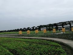 -迪茵湖田家舍生态农场