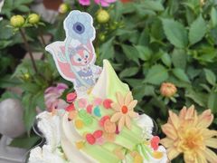 -IL paperino帕帕里诺冰激凌