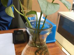 -老海陵·泰州菜(图书馆店)