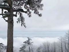 -安吉龙王山风景区