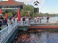 -长春市南湖公园