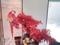 -顺峰(农展馆店)