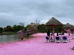 -上海杨姆庄园
