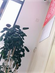 -纤纤玉手美甲美睫美容