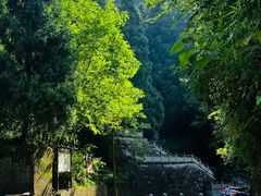 -娄山关景区