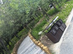 -白水寺森林公园