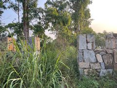 -草庵摩尼教遗址公园