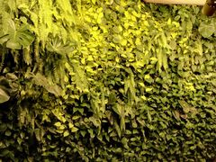 android_upload_pic-永安鱼庄·镇江菜(东吴路店)