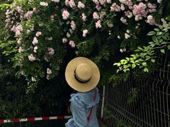 -迎晖路(地铁站)