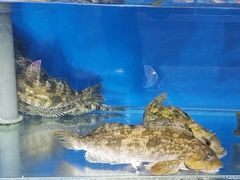 -澜小宴·胶东海鲜烟台味(时光塔店)