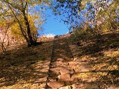 -永定河休闲森林公园