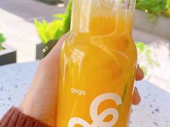 桂花与橙-gaga(深圳南山益田假日广场店)